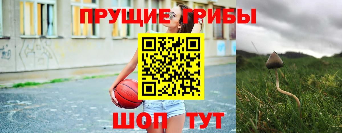 Мытищи  Галлюциногенные грибы GOLDEN TEACHER  Галлюциногенные грибы мухоморы  Вход с VPN 